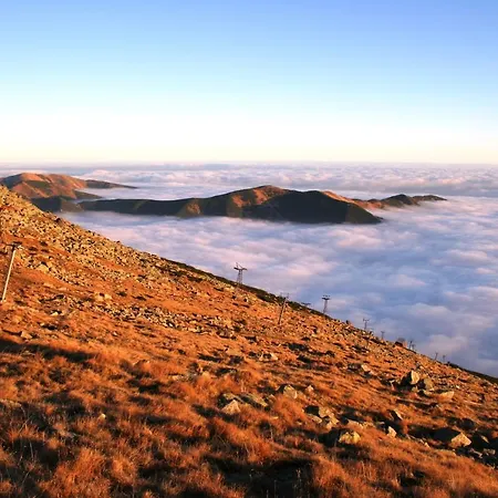 Rezort & Wellness Druzba 4*