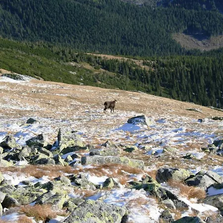 & Wellness Druzba 4*