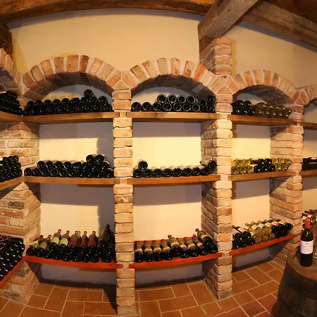 & Wellness Druzba Демяновская долина