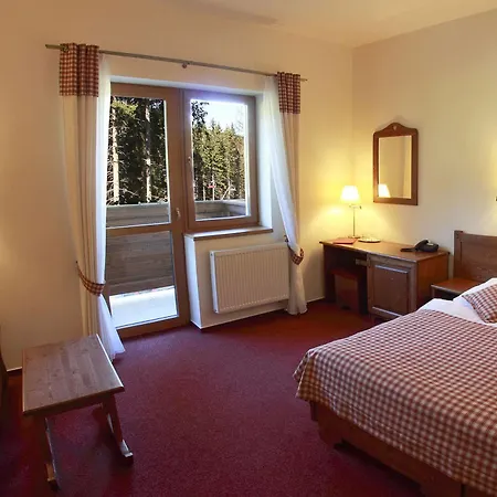 Курортный комплекс & Wellness Druzba