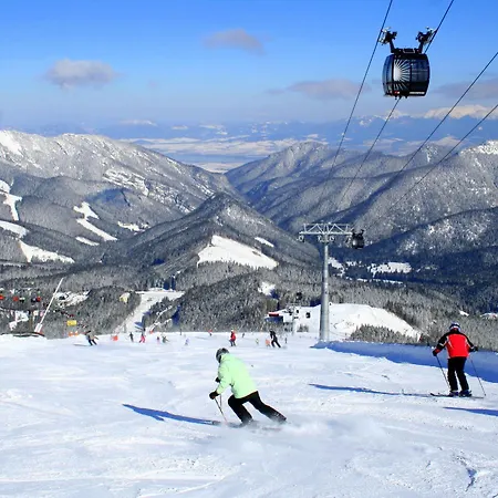 & Wellness Druzba Демяновская долина