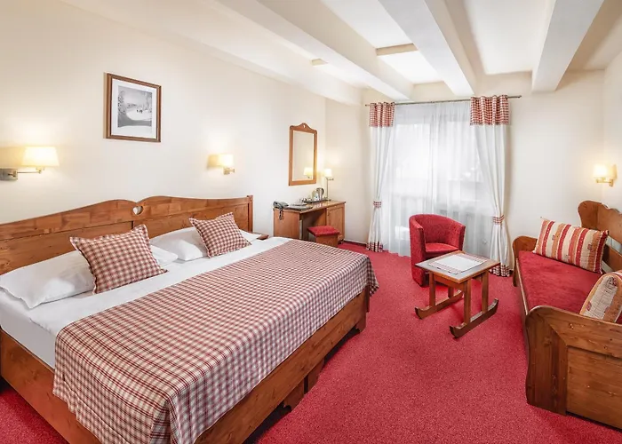 & Wellness Druzba 4*