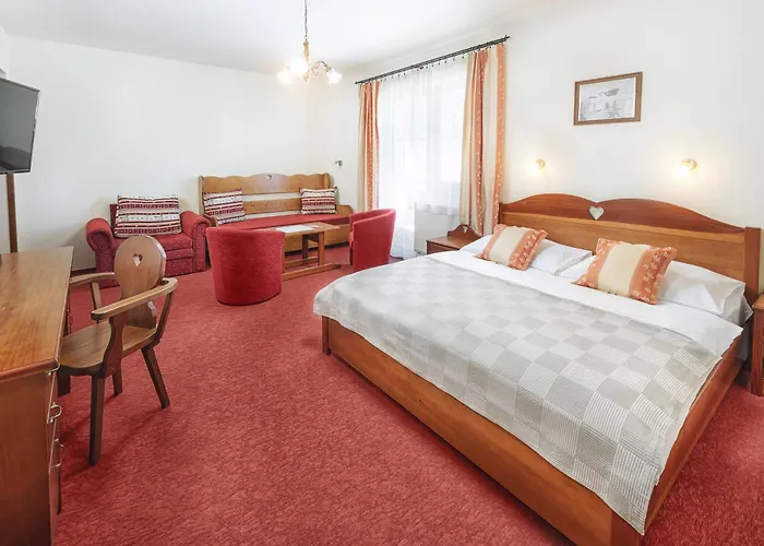 & Wellness Druzba Resort