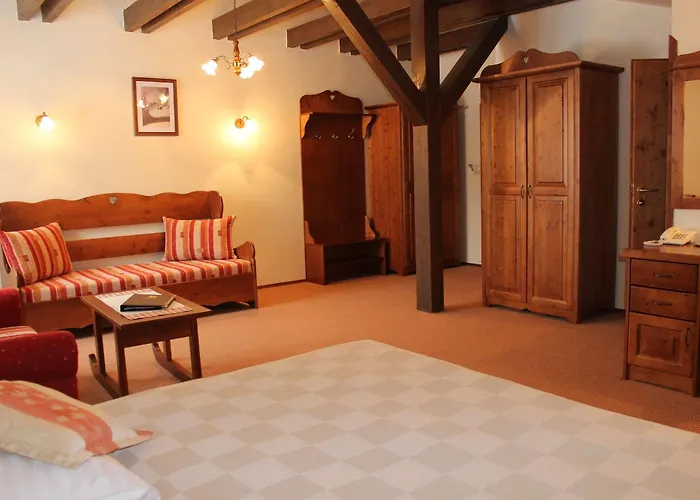 & Wellness Druzba Resort 4*